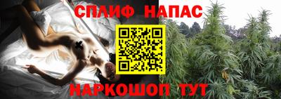 прущие грибы Обь